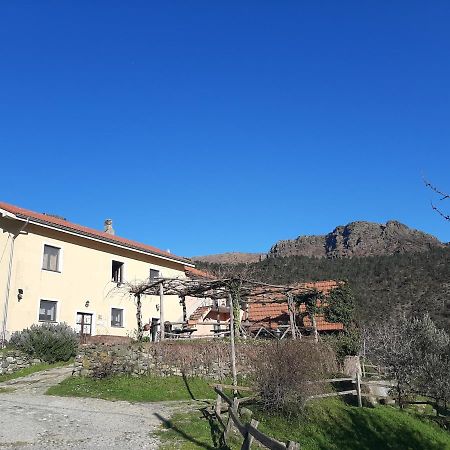 Agriturismo Grilla Mele Exterior photo