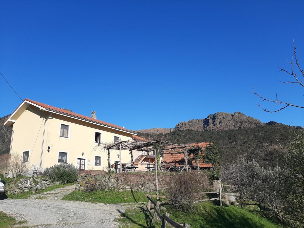 Agriturismo Grilla Mele Exterior photo